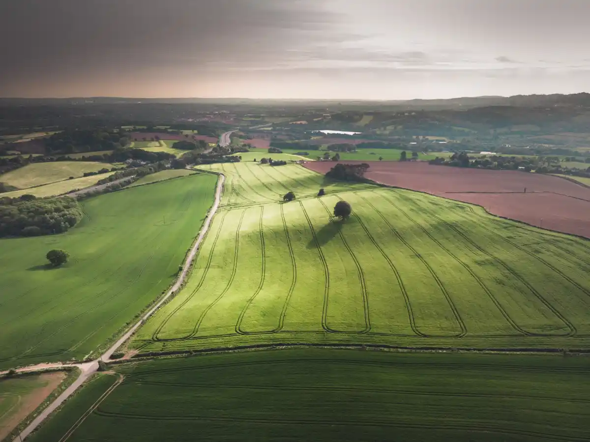 over fertilized field Czech Republic