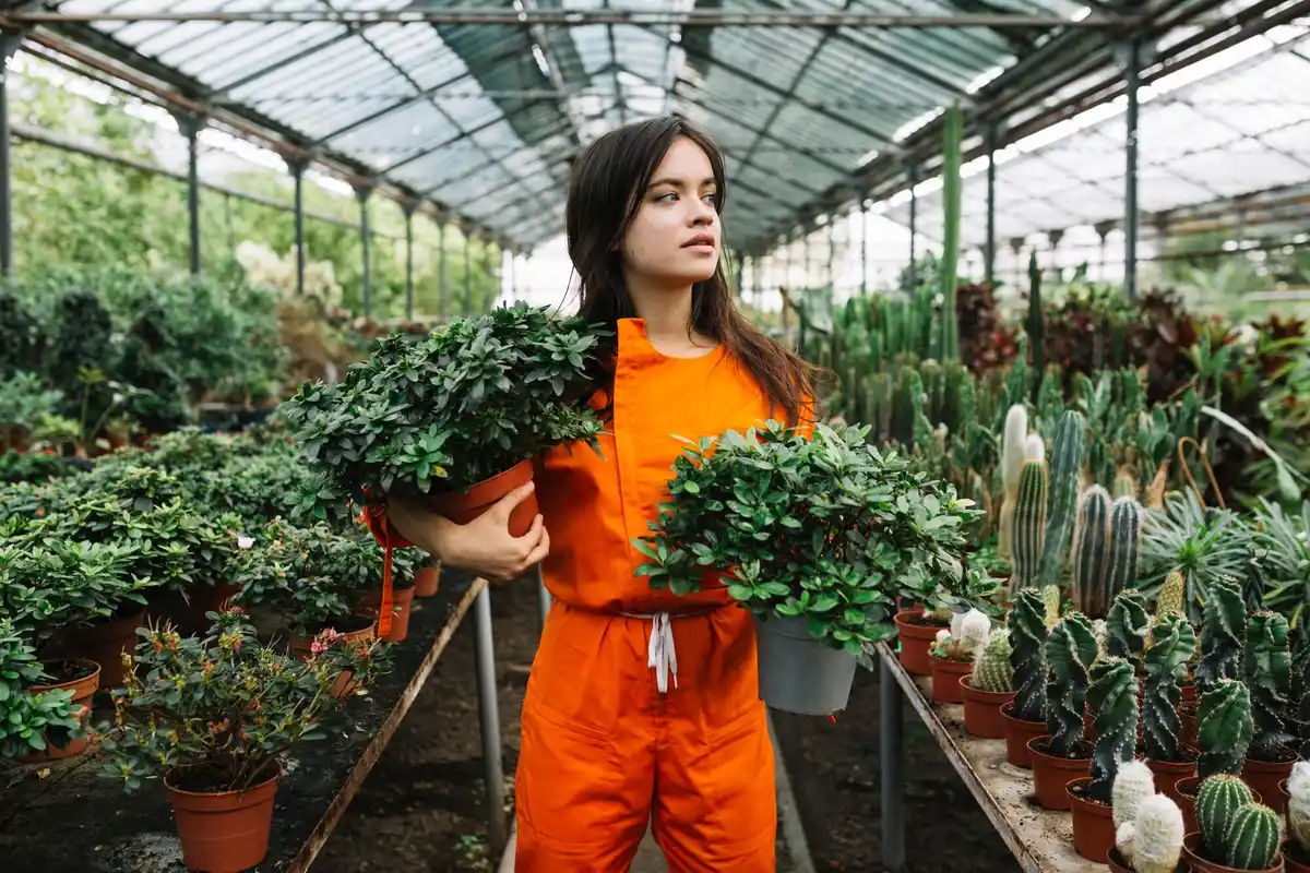 czech greenhouse plants slow growth problem