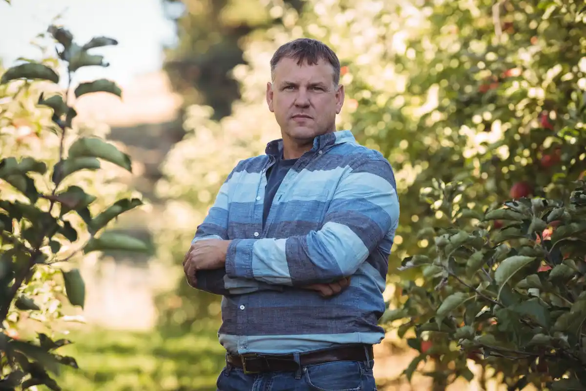 Důchodci objevili: tento jednoduchý trik zdvojnásobí úrodu hrušek