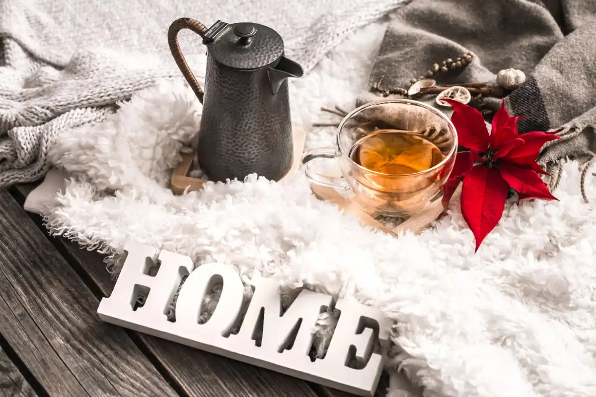 watering indoor plants winter minimalism cozy apartment