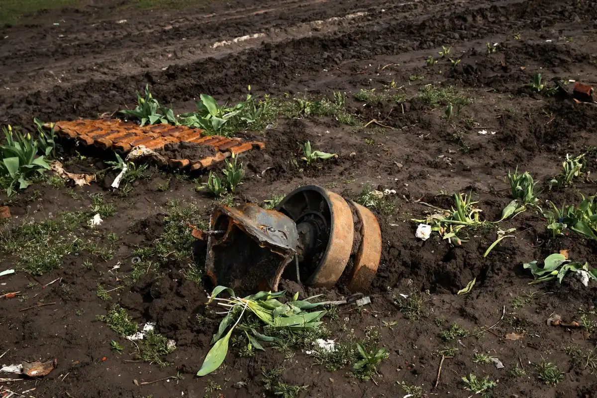 overfertilized garden damage