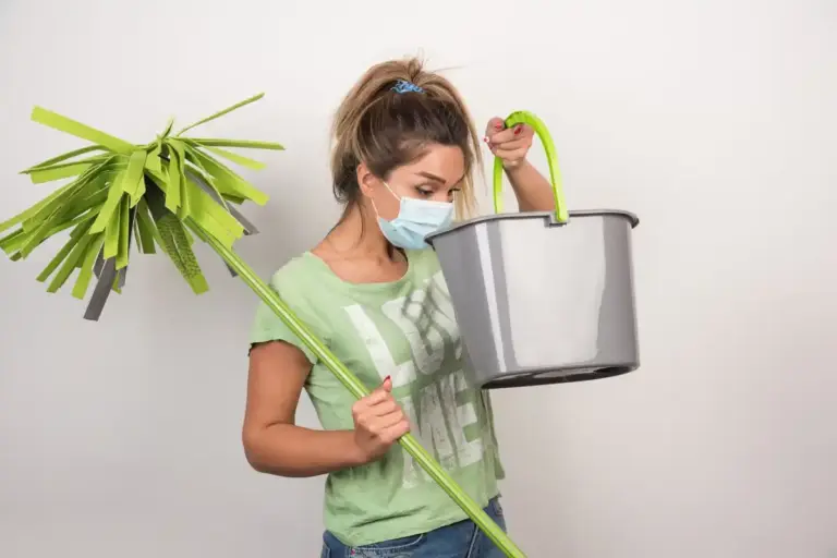 rescuing dying houseplants before and after