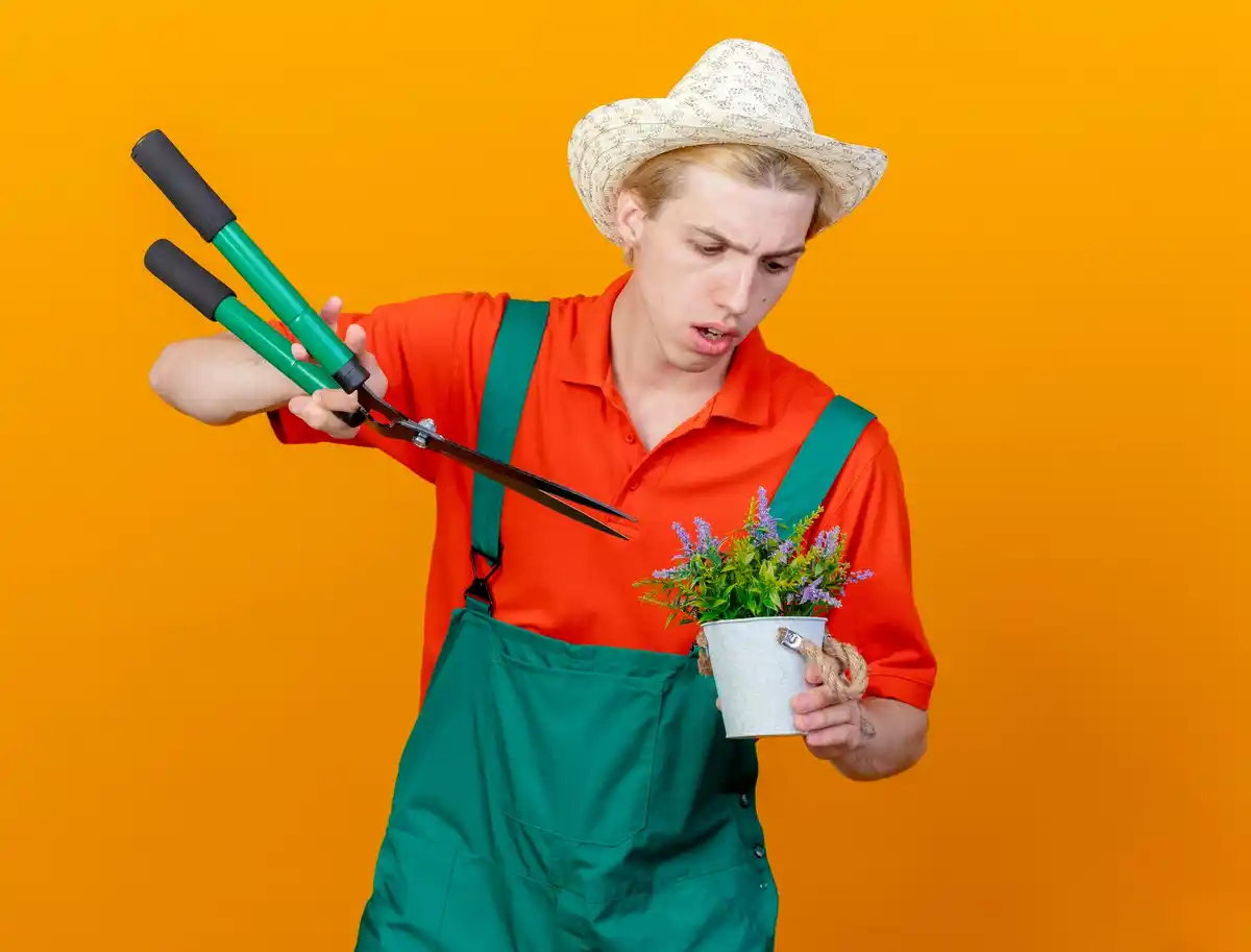 watering peppers wrong garden mistake