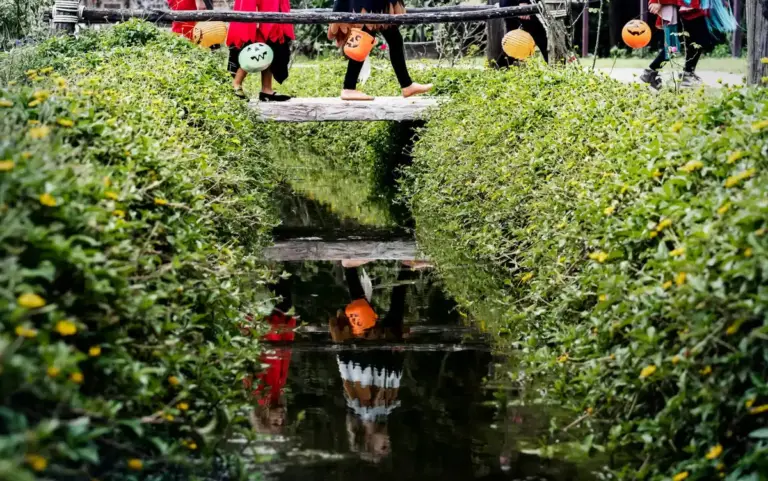 glyphosate herbicide danger Czech garden