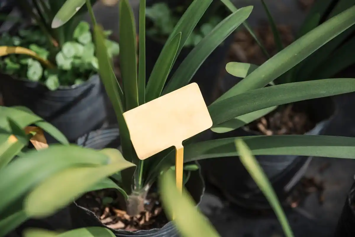 warning sign on Czech garden about glyphosate