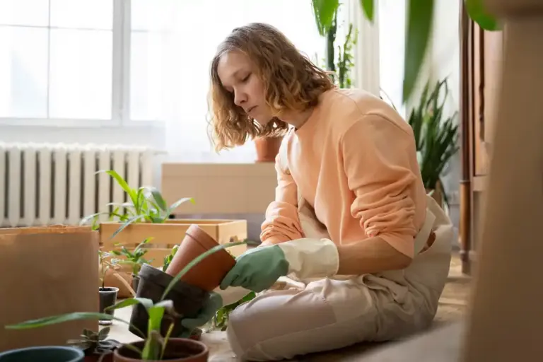 overwatered indoor plant symptoms