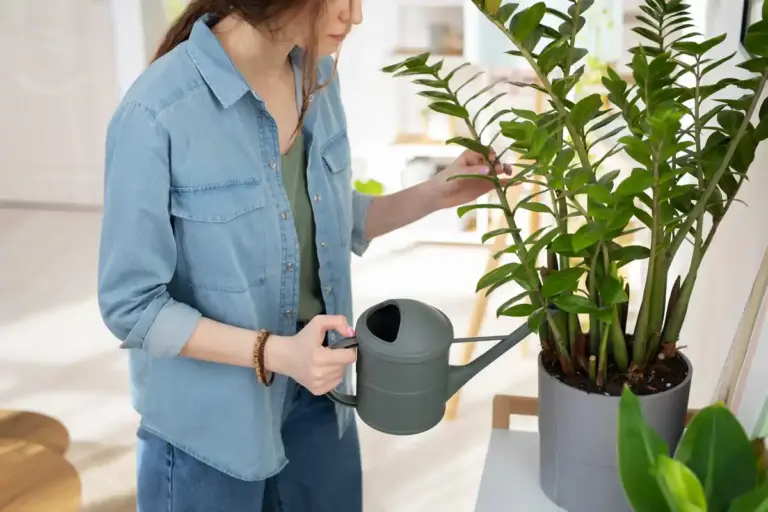 handmade watering system for indoor plants