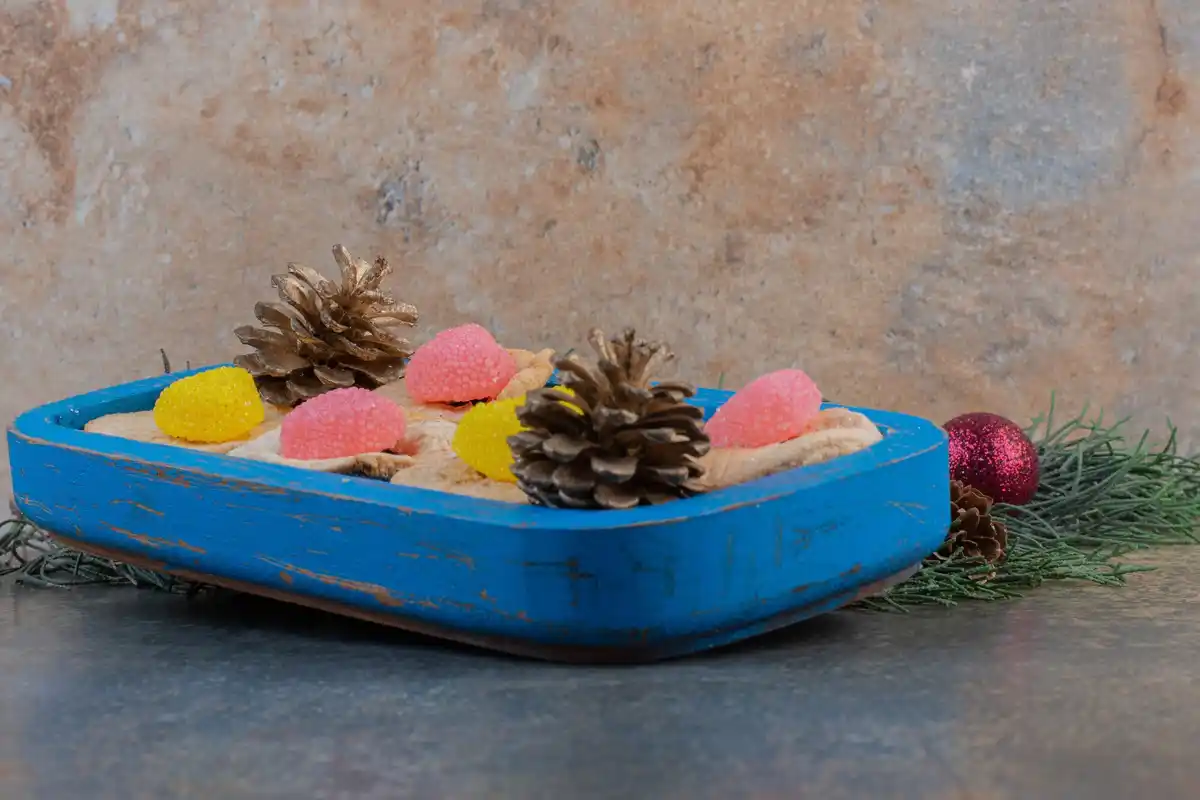 bathtub many houseplants holiday survival