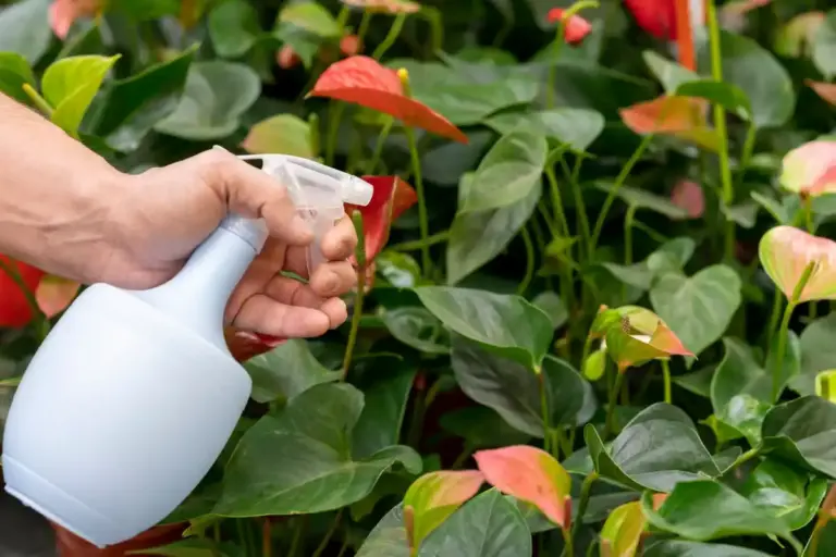 natural pest control methods home garden czech