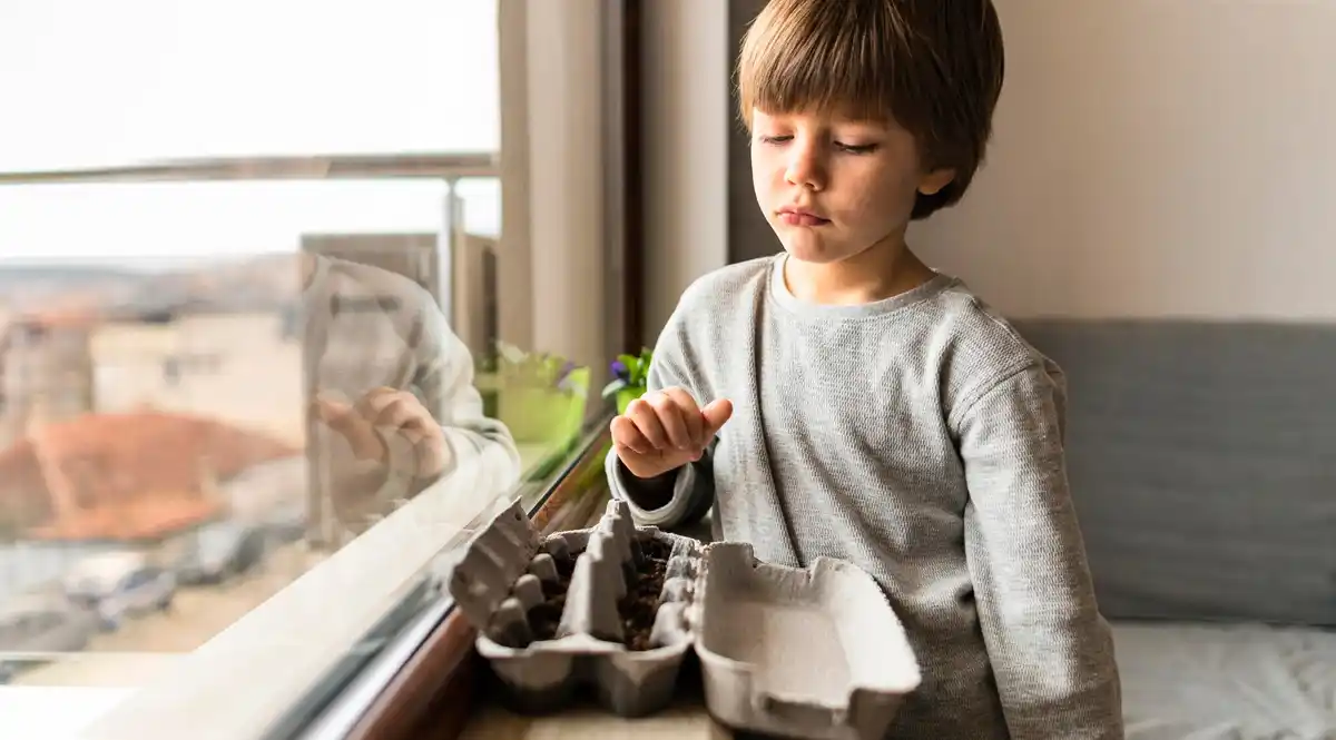 houseplants dangerous for children