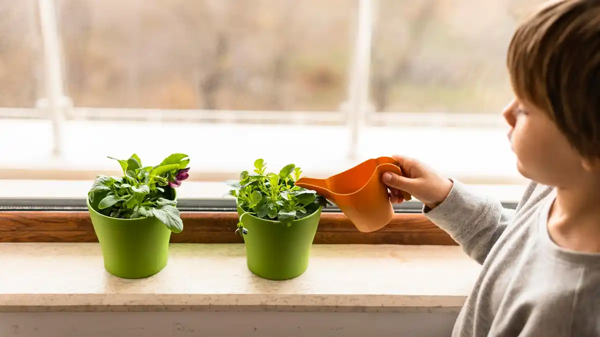 symptoms of plant poisoning in toddlers