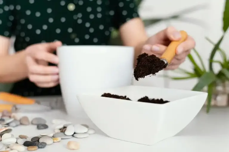coffee grounds use for plants home czech
