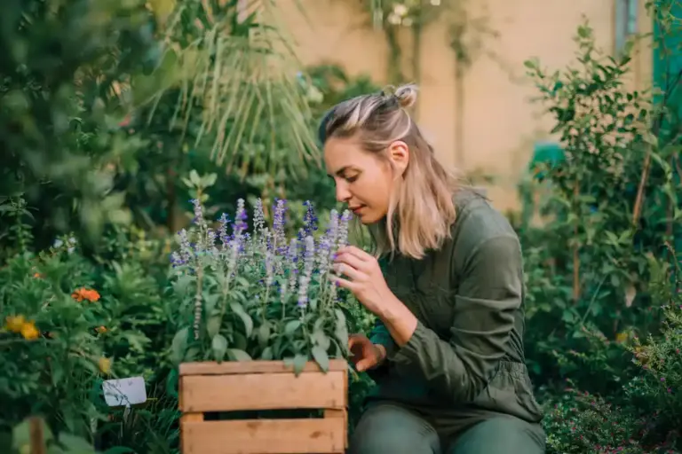 czech homemade natural plant treatments