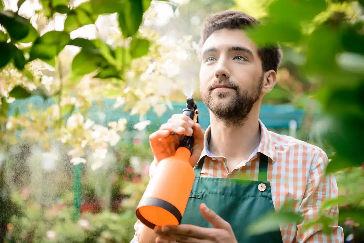 homemade natural plant spray czech garden