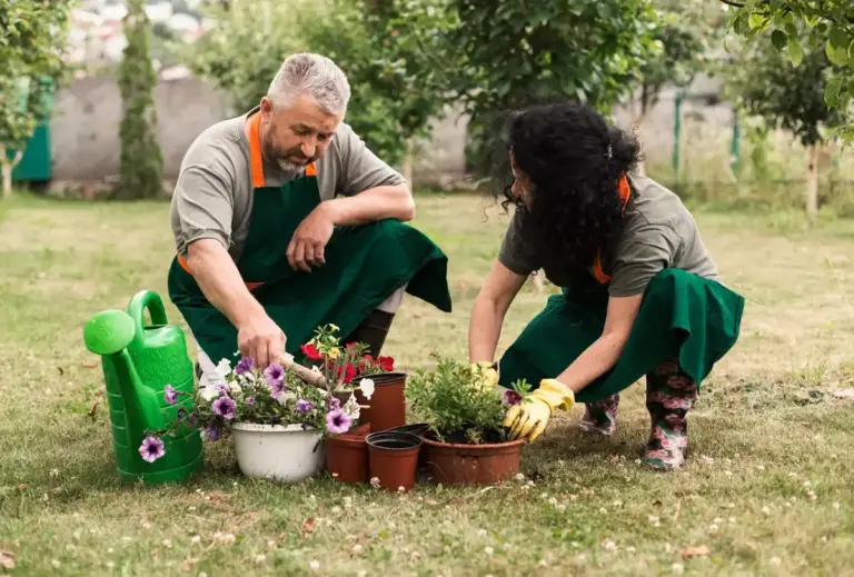 easy to grow bushes Czech seniors garden