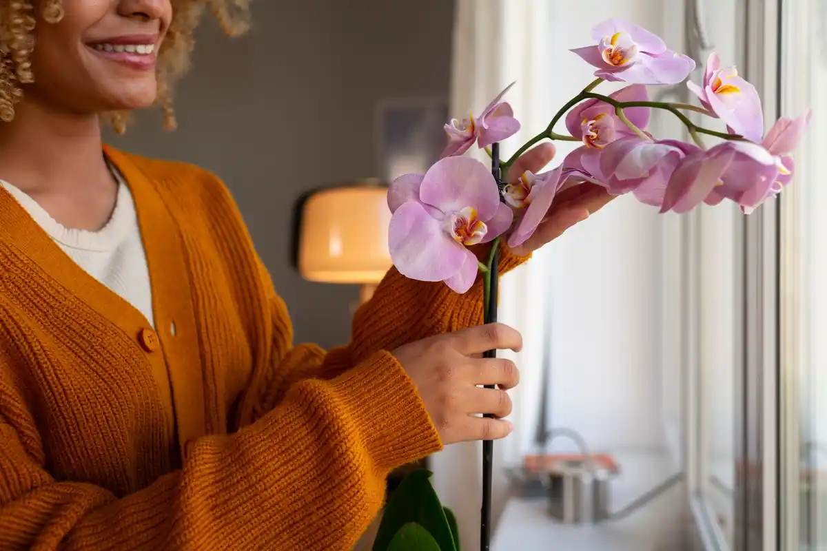 Málo kto vie: prečo orchidey kvitnou roky, zatiaľ čo fialky hynú