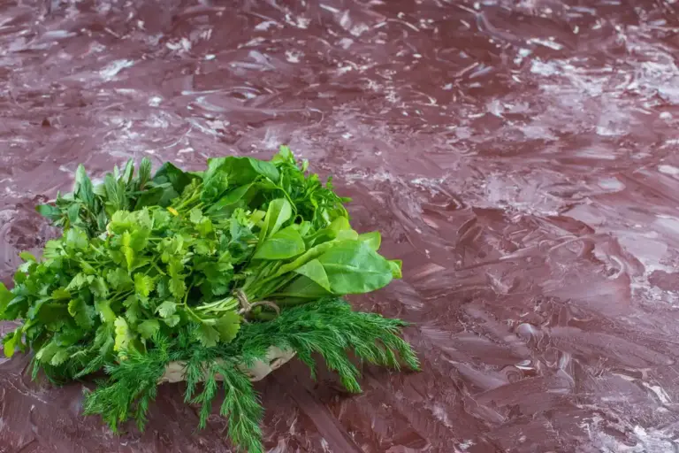 wilted salad leaves kitchen reuse