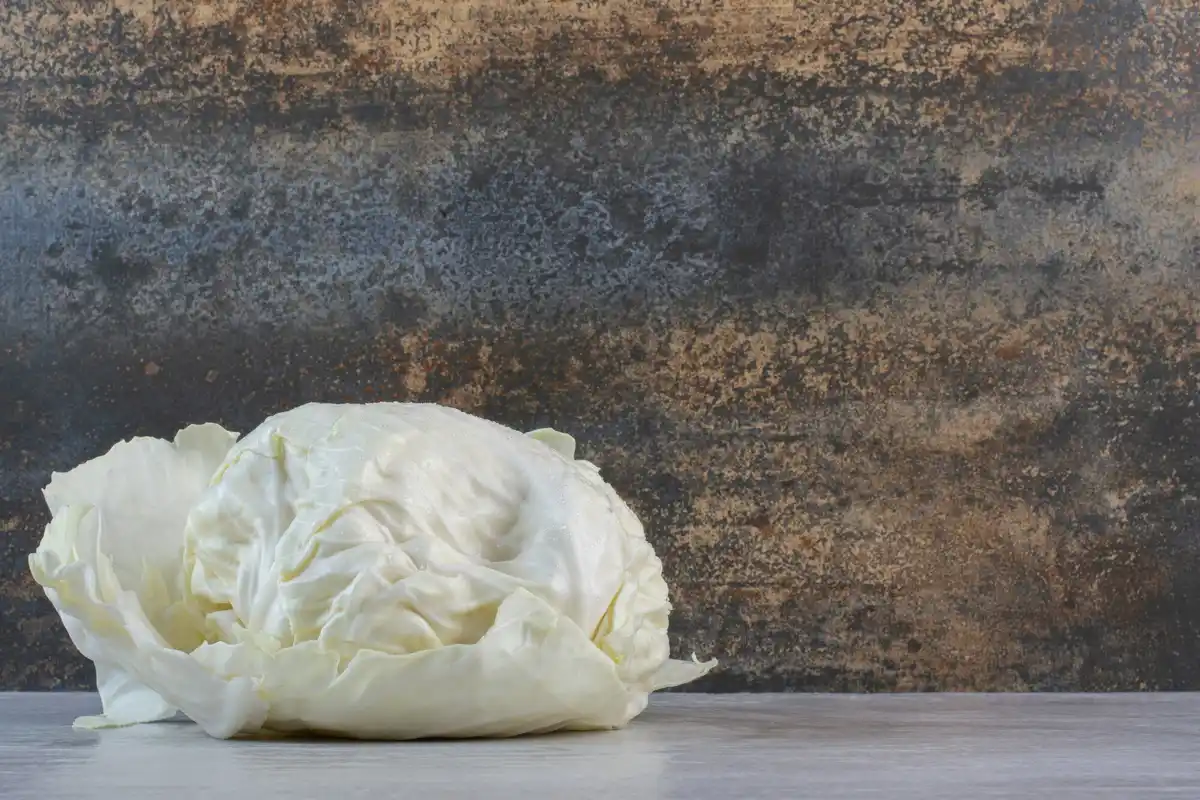 wilted lettuce leaves still life kitchen home remedy