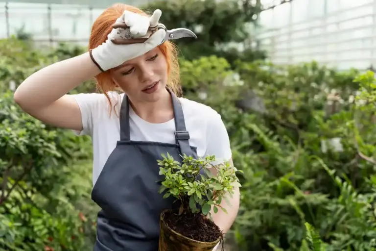 czech home garden spring mistakes plants care