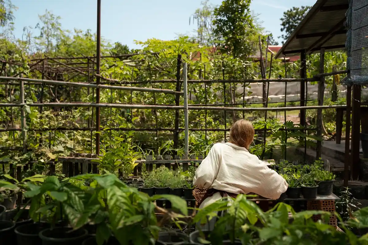 overheated greenhouse in summer