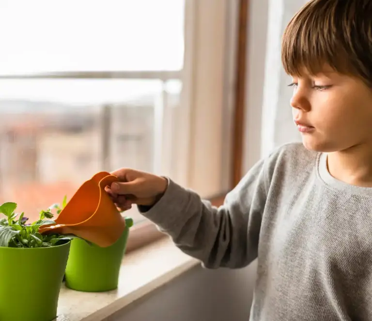 dangerous indoor plants children czech home