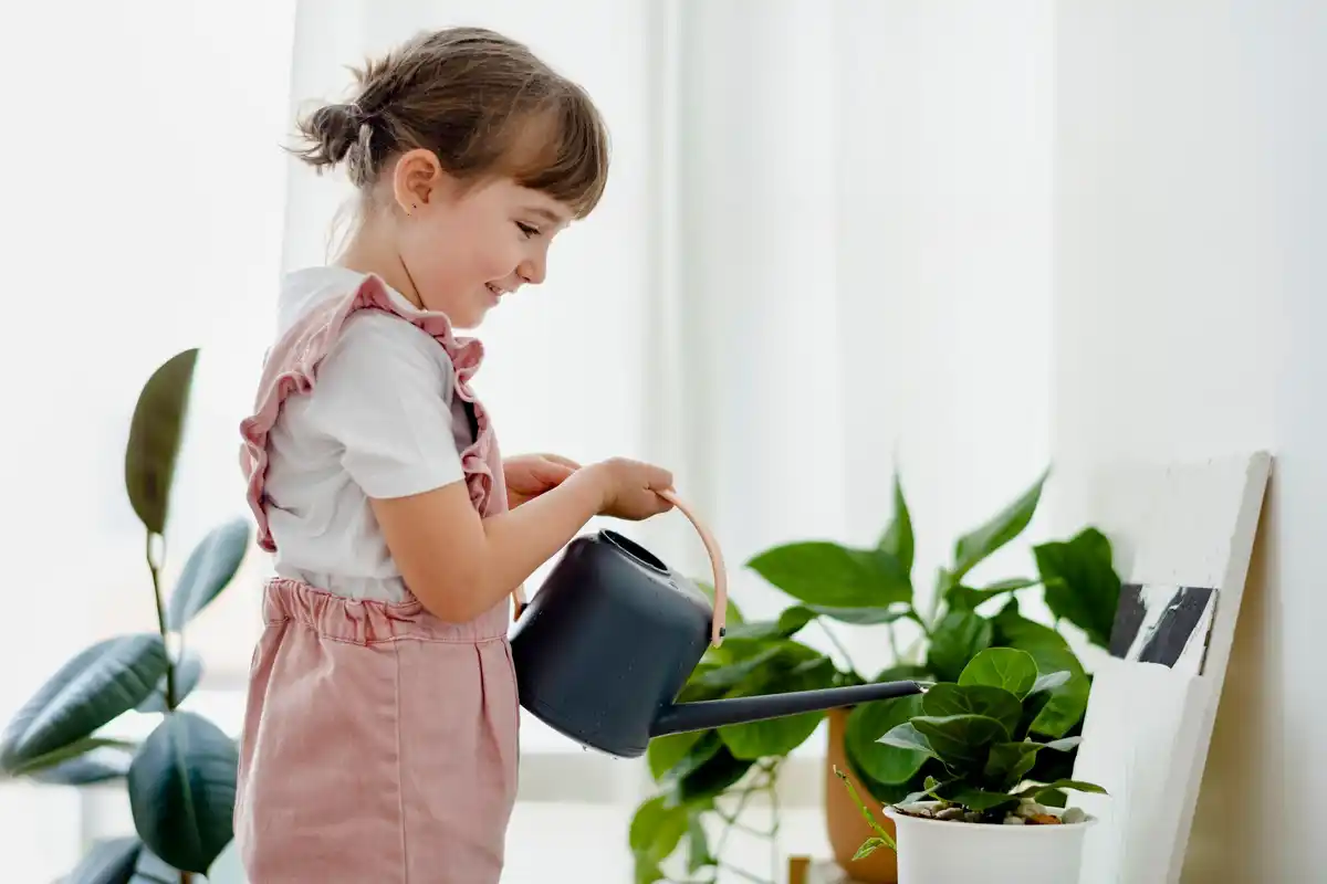 dangerous plants for children indoor czech home