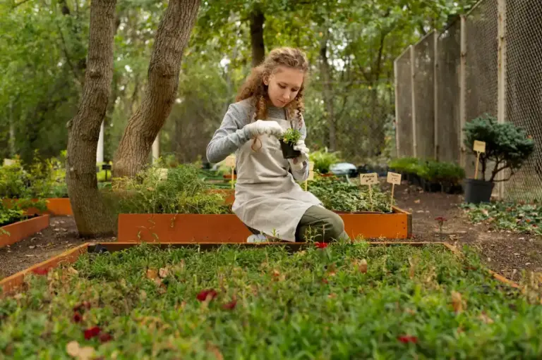 czech backyard gardening problems