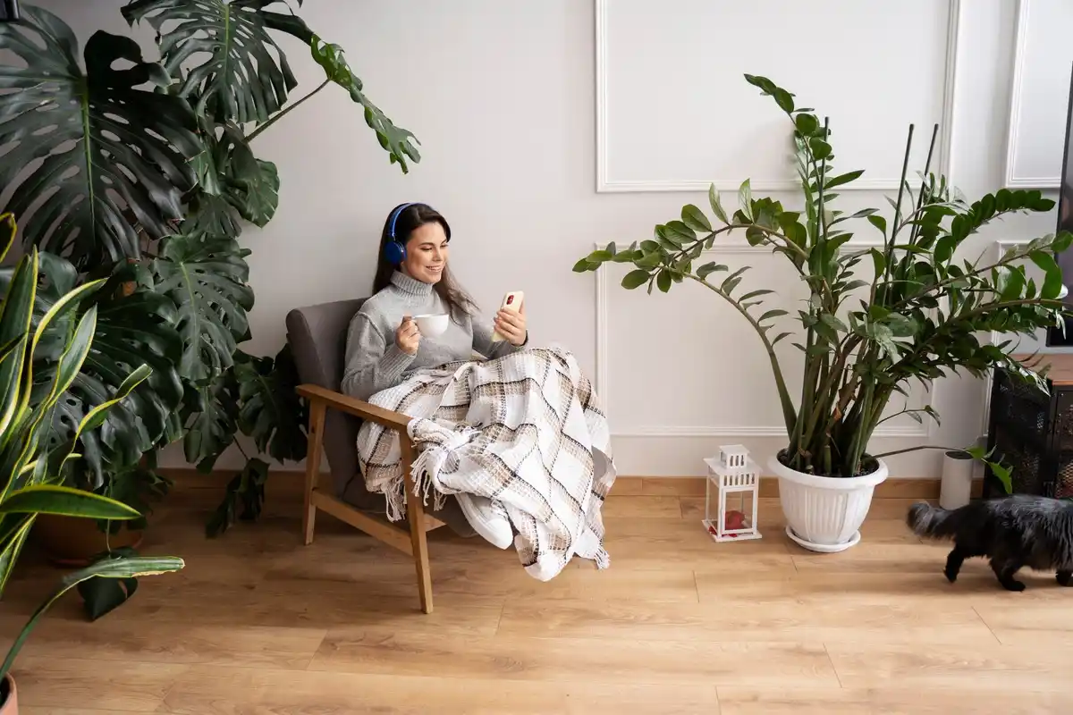 modern cozy living room with houseplants near window