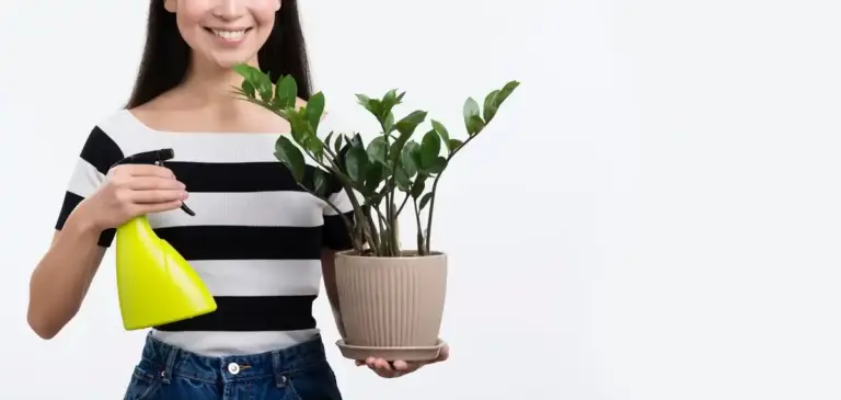 houseplants before and after no chemical fertilizer