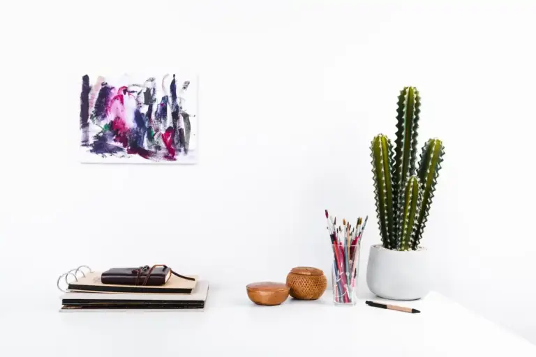 cactus taboo bedroom feng shui