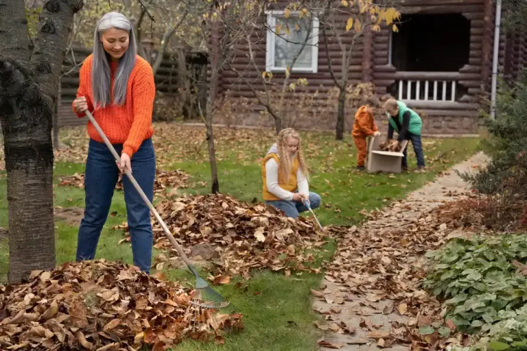 modern electric leaf blower autumn garden czech