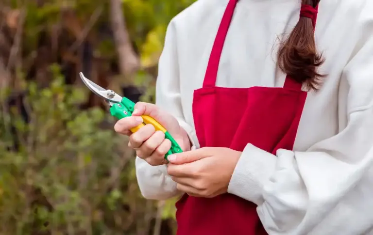 checking poor quality garden pruners in store