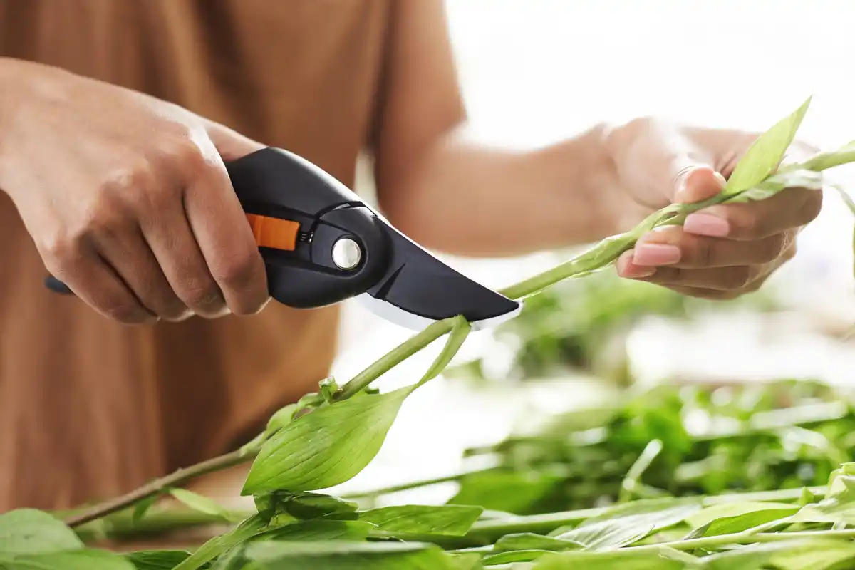 testing movement of garden shears joint in store