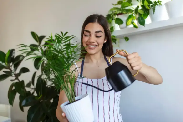 coffee grounds plants rescue home interior vibrant