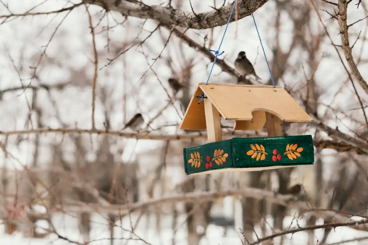 DIY tree protection with old socks Czech backyard