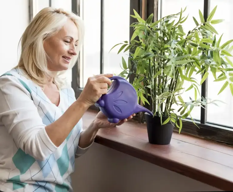 homemade plant spray grandma Czech garden