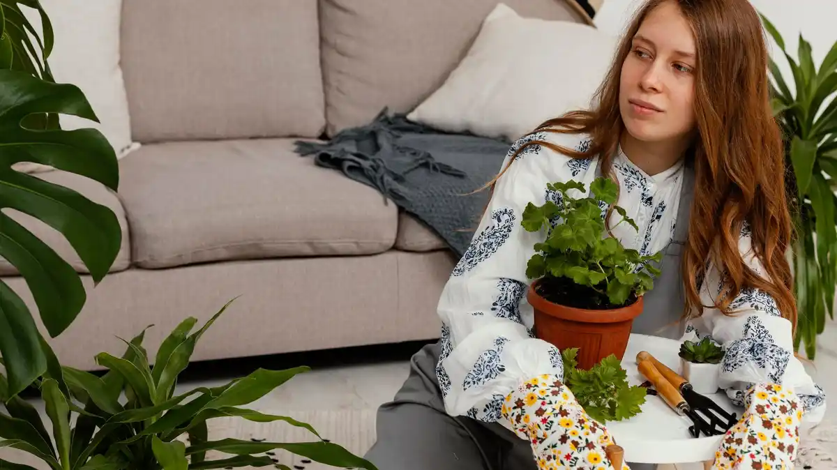 dangerous houseplants for dogs czech home