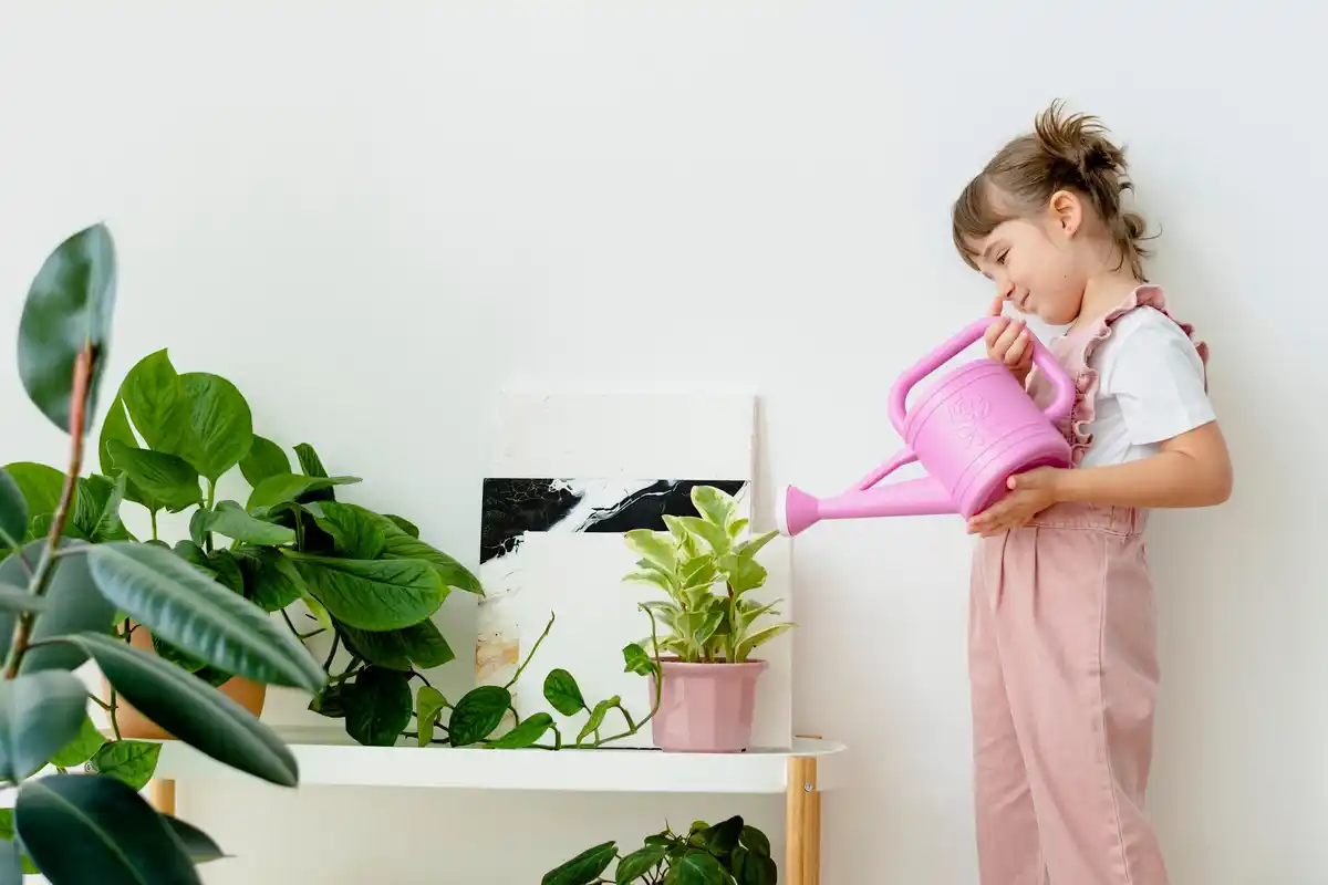 wilted indoor plants after vacation