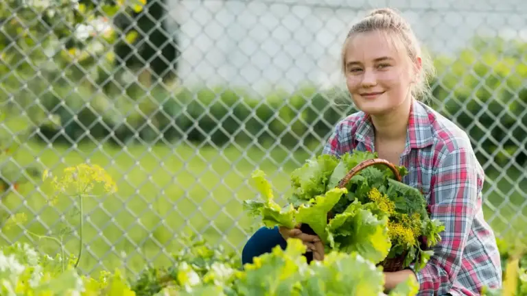 organic vegetable garden Czech Republic
