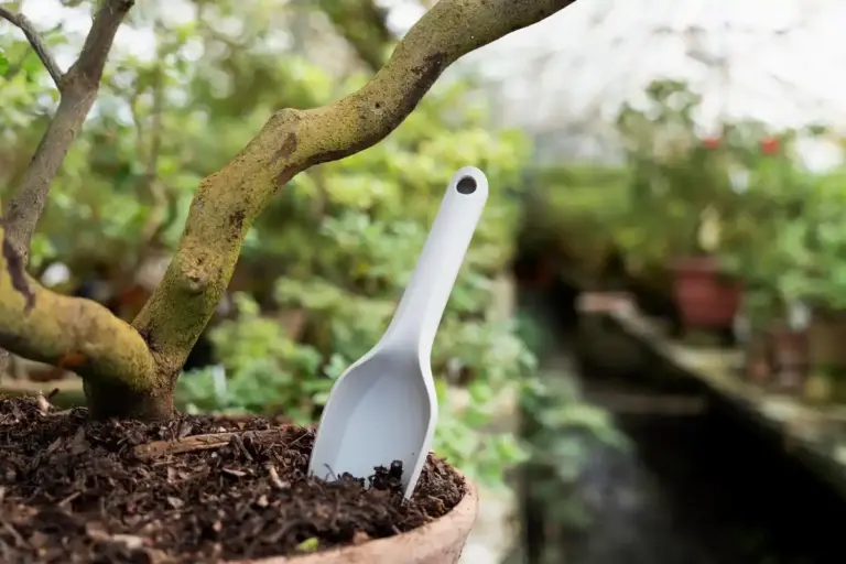 banana peel garden fertilizer backyard Czech Republic