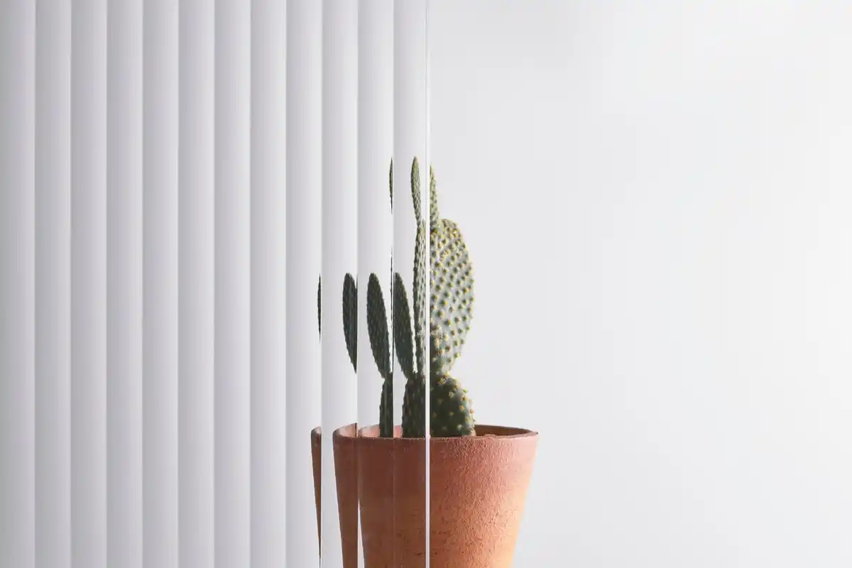 Kam postavit aloe vera, aby fungovala jako přírodní čistička vzduchu