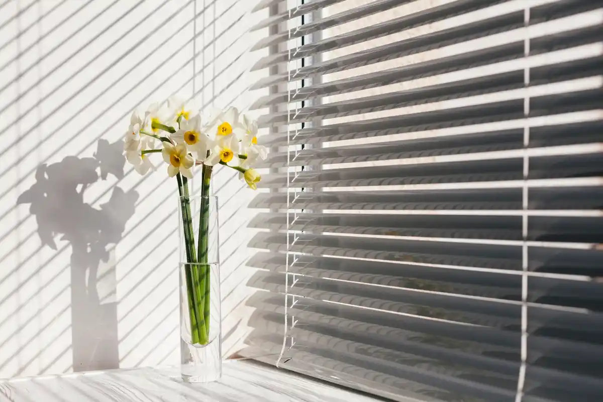 aloe vera in cozy bedroom natural air filter near window