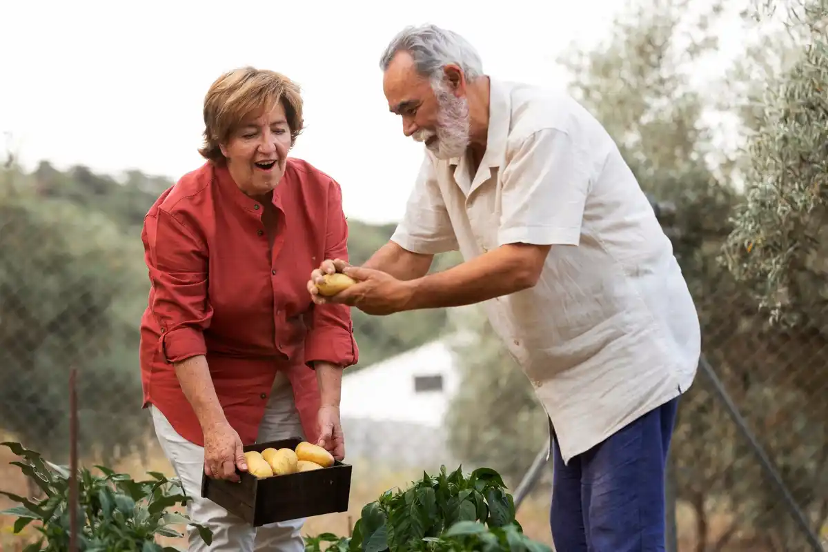 senior garden harvest Czech
