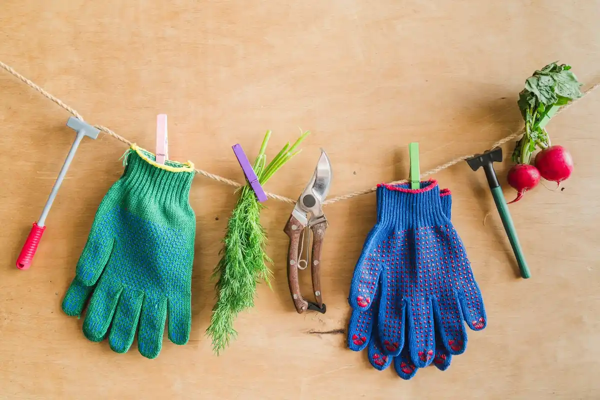 clean garden shears with drop of oil and wooden brush maintenance tool