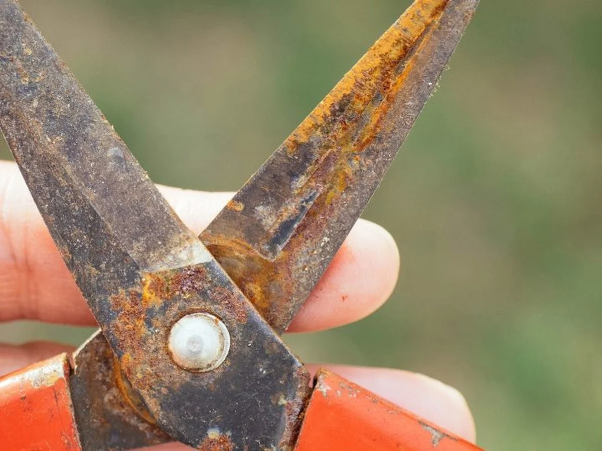Citronová šťáva odstraní rez z nářadí: Jak funguje tato chemická reakce - image 2
