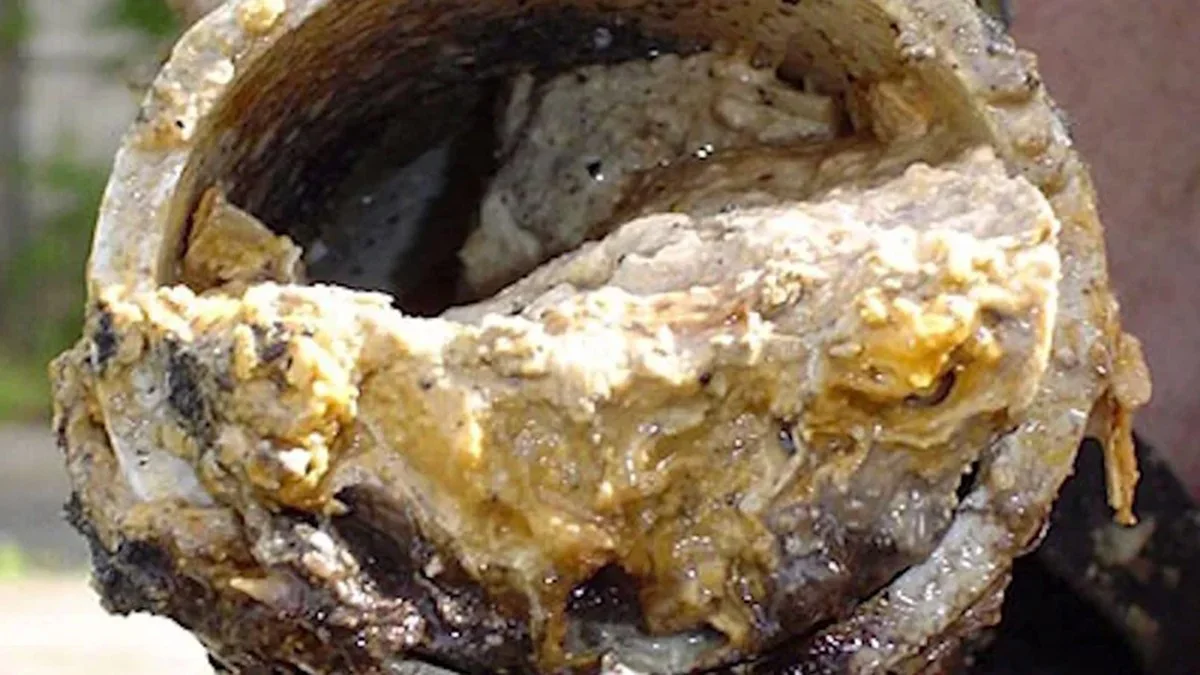 Instalatéři vás prosí: Nikdy nevylévejte tento olej do odpadu.