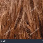 Kadeřníci přiznávají: Tento běžný šampon ničí vlasy nejvíce