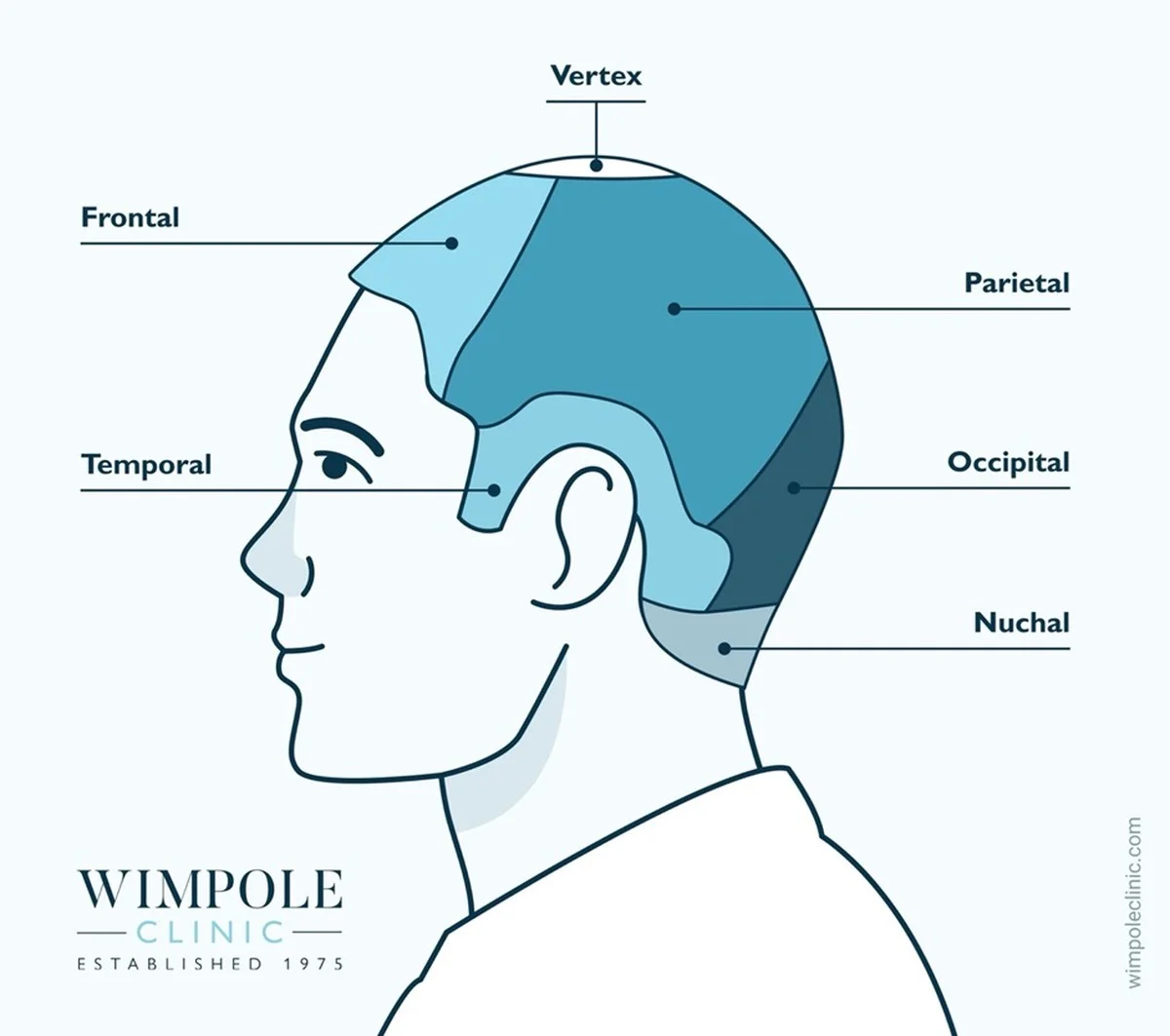Kadeřníci prozrazují: jednoduchý trik pro hustější vlasy za 30 dní. - image 1