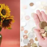 Mince ve váze s květinami: Proč květináři přísahají na tento trik