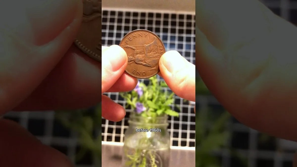 Mince v květináči tulipánů: trik, který prodlouží jejich životnost o týden. - image 1